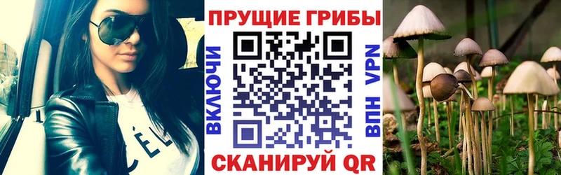 Псилоцибиновые грибы мицелий  Динская 